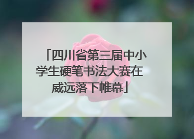 四川省第三届中小学生硬笔书法大赛在威远落下帷幕