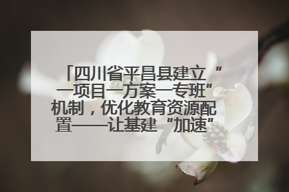 四川省平昌县建立“一项目一方案一专班”机制，优化教育资源配置——让基建“加速”，为成长“铺路”