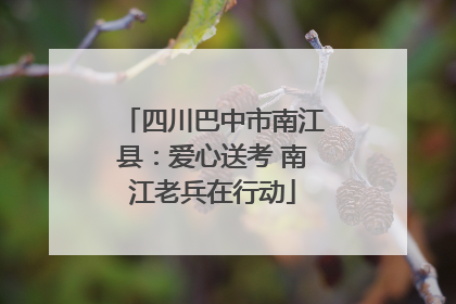 四川巴中市南江县：爱心送考 南江老兵在行动