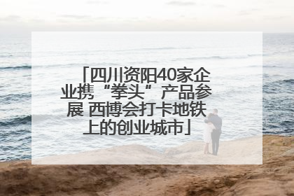 四川资阳40家企业携“拳头”产品参展 西博会打卡地铁上的创业城市