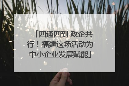 四通四到 政企共行！福建这场活动为中小企业发展赋能