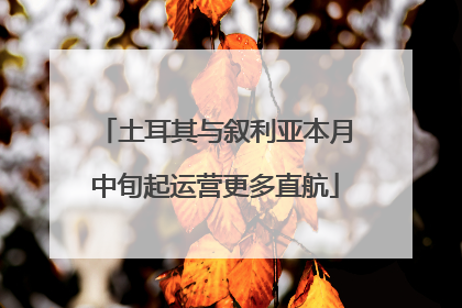 土耳其与叙利亚本月中旬起运营更多直航