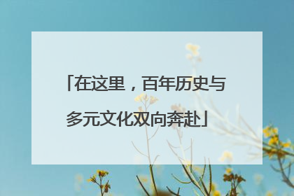 在这里，百年历史与多元文化双向奔赴