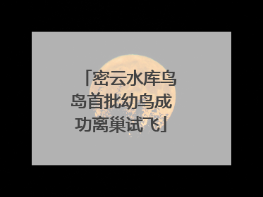 密云水库鸟岛首批幼鸟成功离巢试飞