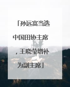 孙远富当选中国田协主席，王晓莹增补为副主席