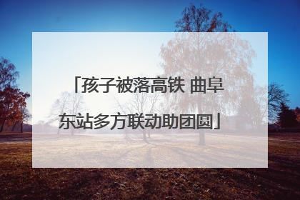 孩子被落高铁 曲阜东站多方联动助团圆