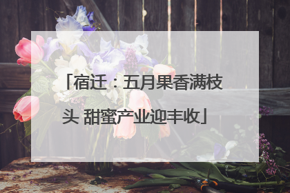 宿迁：五月果香满枝头 甜蜜产业迎丰收