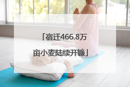 宿迁466.8万亩小麦陆续开镰