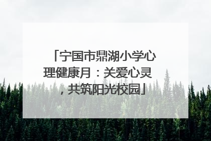 宁国市鼎湖小学心理健康月：关爱心灵，共筑阳光校园