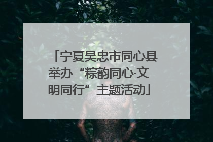 宁夏吴忠市同心县举办“粽韵同心·文明同行”主题活动