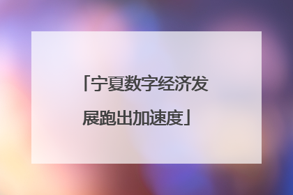 宁夏数字经济发展跑出加速度