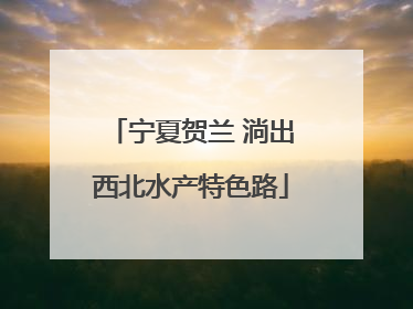 宁夏贺兰 淌出西北水产特色路