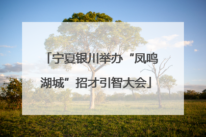 宁夏银川举办“凤鸣湖城”招才引智大会