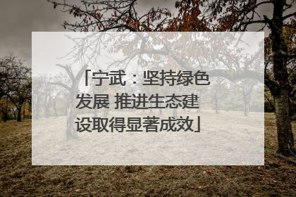 宁武：坚持绿色发展 推进生态建设取得显著成效