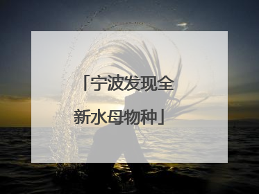宁波发现全新水母物种