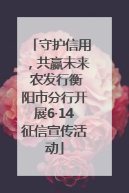 守护信用，共赢未来 农发行衡阳市分行开展6·14征信宣传活动