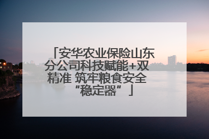 安华农业保险山东分公司科技赋能+双精准 筑牢粮食安全“稳定器”