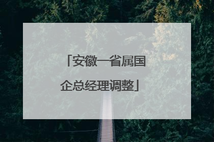 安徽一省属国企总经理调整