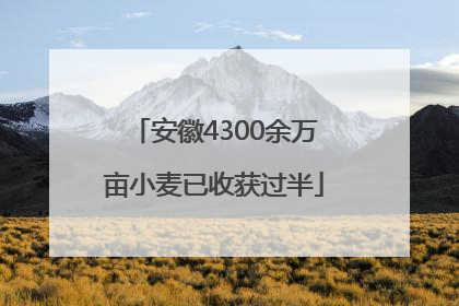 安徽4300余万亩小麦已收获过半