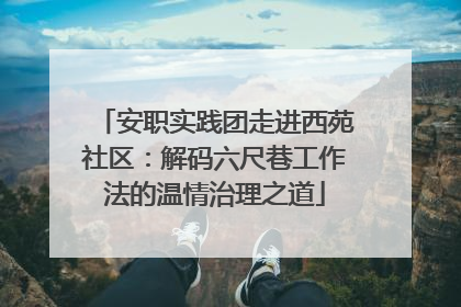 安职实践团走进西苑社区：解码六尺巷工作法的温情治理之道