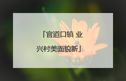 官道口镇 业兴村美面貌新