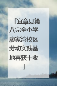 宜章县第八完全小学廖家湾校区劳动实践基地喜获丰收