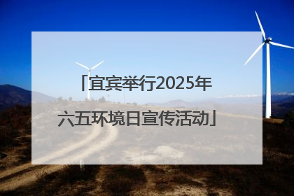 宜宾举行2025年六五环境日宣传活动