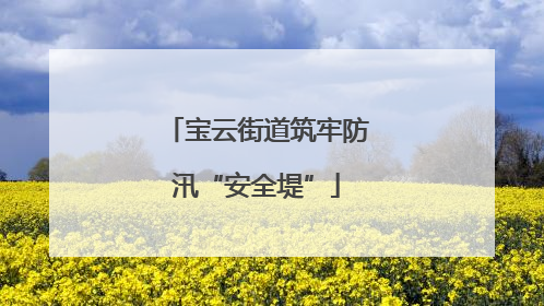 宝云街道筑牢防汛“安全堤”