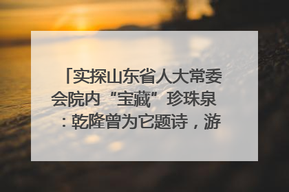 实探山东省人大常委会院内“宝藏”珍珠泉：乾隆曾为它题诗，游客无需预约免费游览