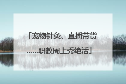 宠物针灸、直播带货……职教周上秀绝活