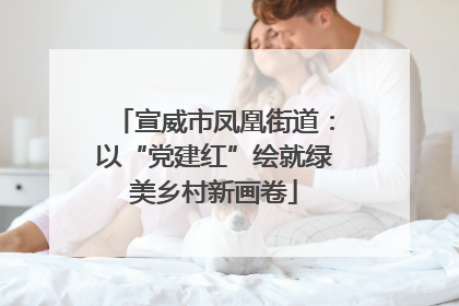 宣威市凤凰街道：以“党建红”绘就绿美乡村新画卷