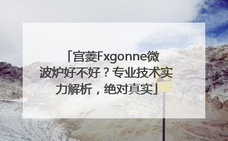 宫菱Fxgonne微波炉好不好？专业技术实力解析，绝对真实