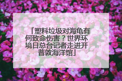 塑料垃圾对海龟有何致命伤害？世界环境日总台记者走进开普敦海洋馆