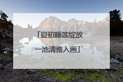 夏初睡莲绽放 一池清雅入画