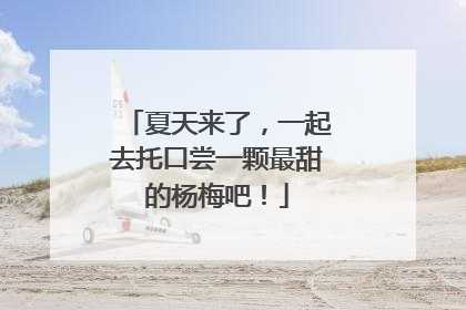 夏天来了，一起去托口尝一颗最甜的杨梅吧！