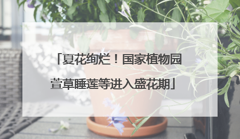 夏花绚烂！国家植物园萱草睡莲等进入盛花期