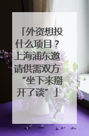 外资想投什么项目？上海浦东邀请供需双方“坐下来掰开了谈”