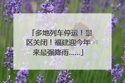 多地列车停运！景区关闭！福建迎今年来最强降雨……