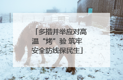 多措并举应对高温“烤”验 筑牢安全防线保民生