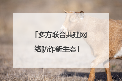 多方联合共建网络防诈新生态