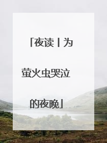 夜读丨为萤火虫哭泣的夜晚
