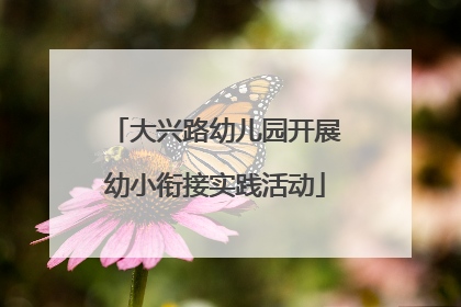 大兴路幼儿园开展幼小衔接实践活动
