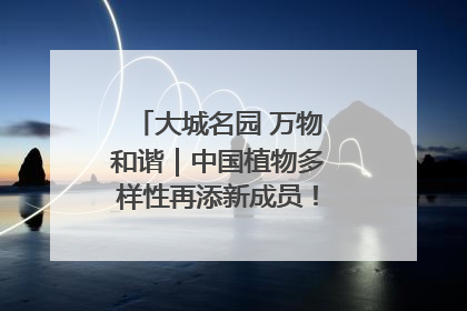 大城名园 万物和谐｜中国植物多样性再添新成员！它只在西藏墨脱