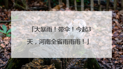 大暴雨！带伞！今起3天，河南全省雨雨雨！