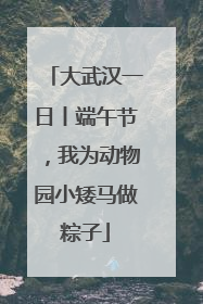 大武汉一日丨端午节，我为动物园小矮马做粽子