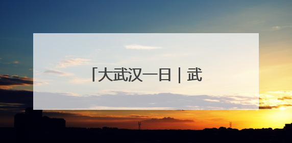 大武汉一日｜武汉地铁上，满满一车全是“宝贝”