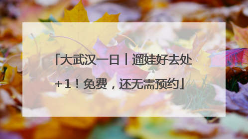 大武汉一日︱遛娃好去处＋1！免费，还无需预约