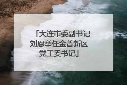 大连市委副书记刘恩举任金普新区党工委书记