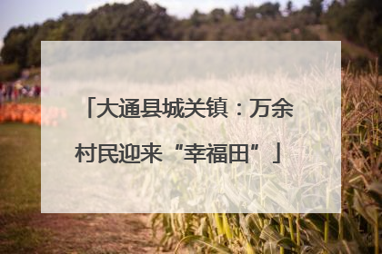 大通县城关镇：万余村民迎来“幸福田”