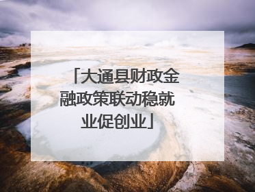 大通县财政金融政策联动稳就业促创业